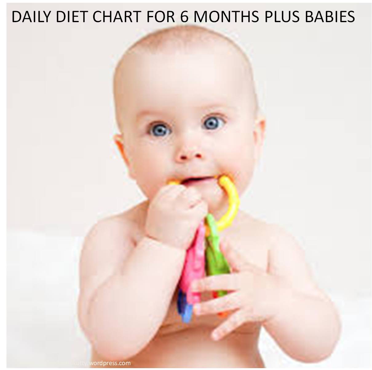 six months plus babies daily diet chart